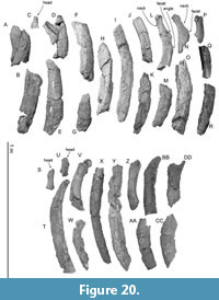 s figure20
