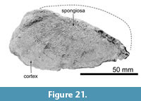 s figure21