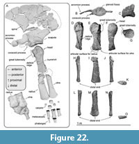 s figure22