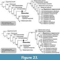 s figure23