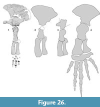 s figure26