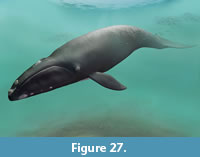 s figure27