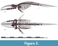 s figure3