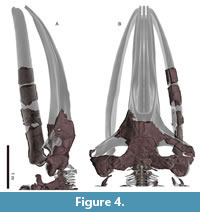 s figure4