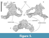 s figure5