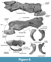 s figure6