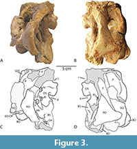 s figure3