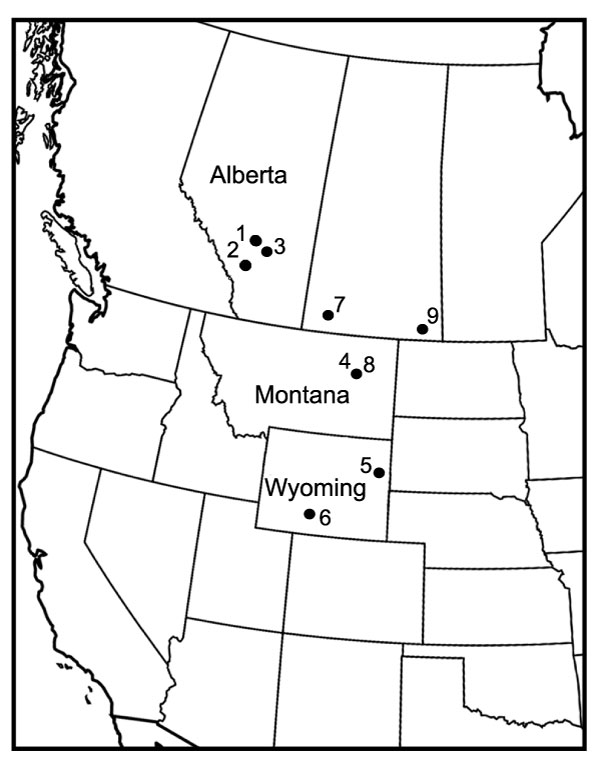 figure1