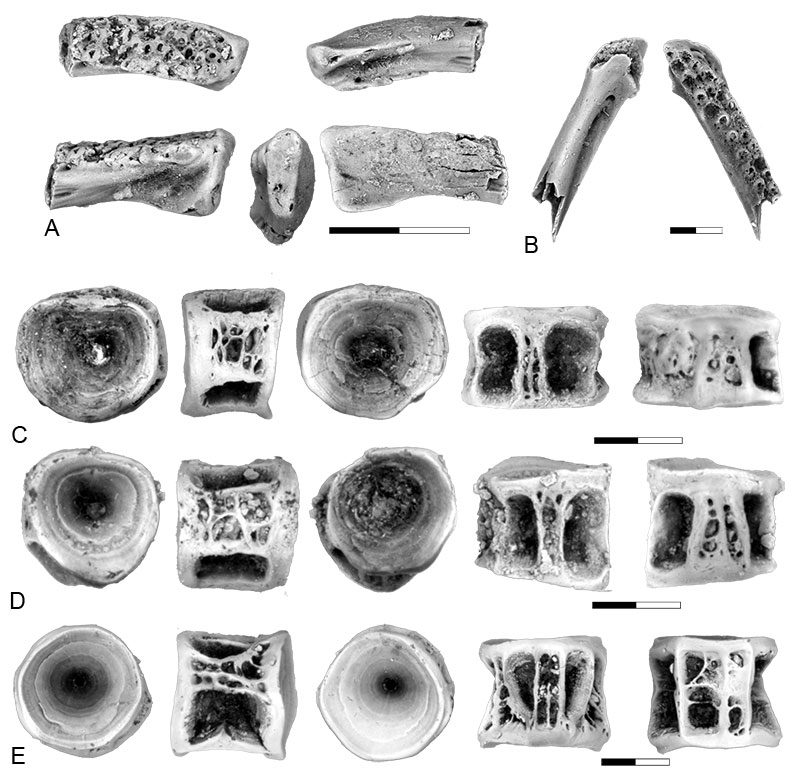 figure10