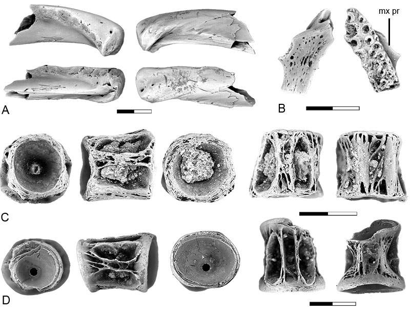 figure11