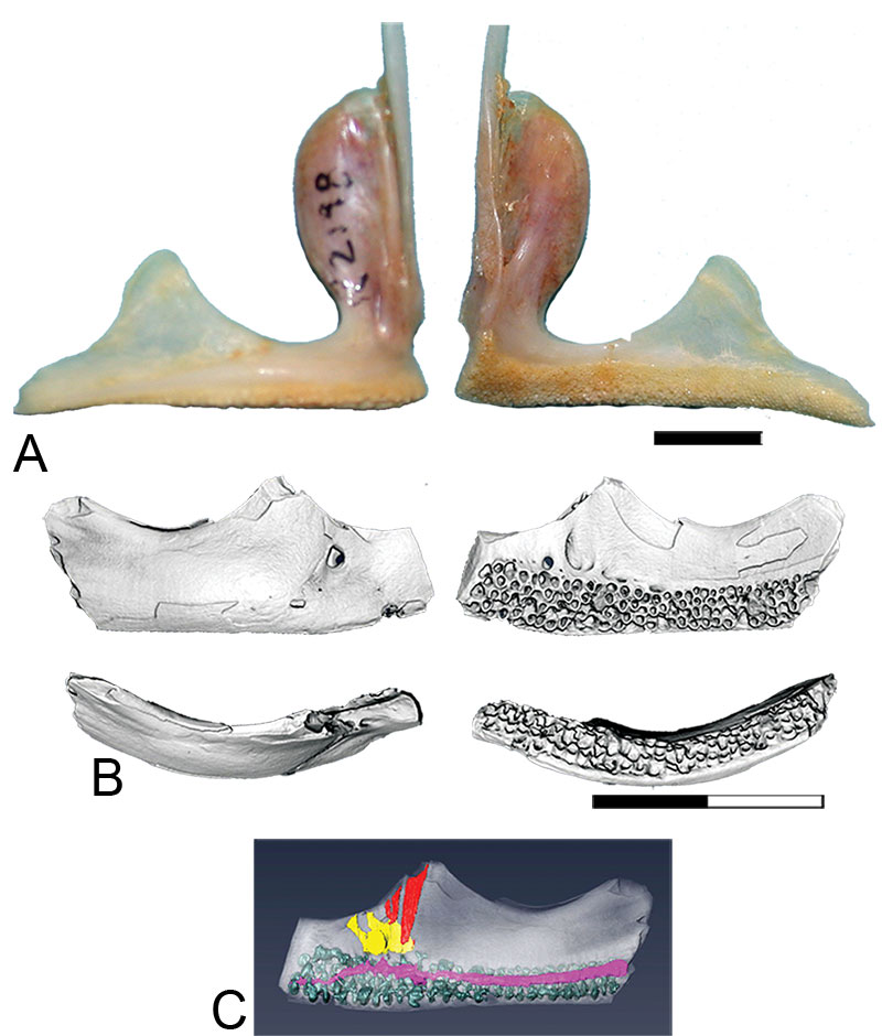 figure13