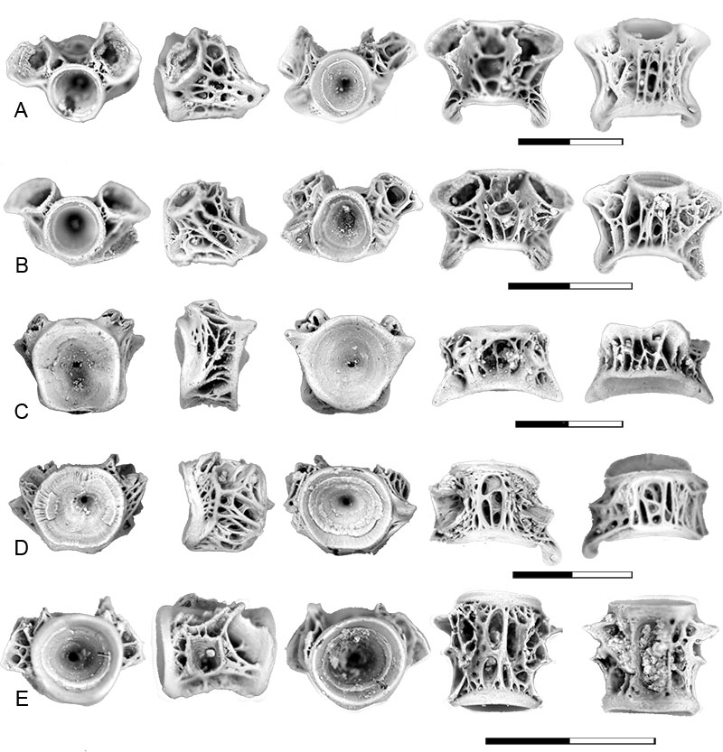 figure14