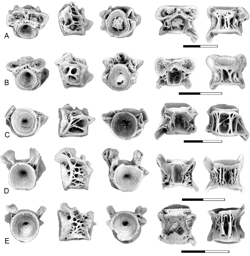 figure15