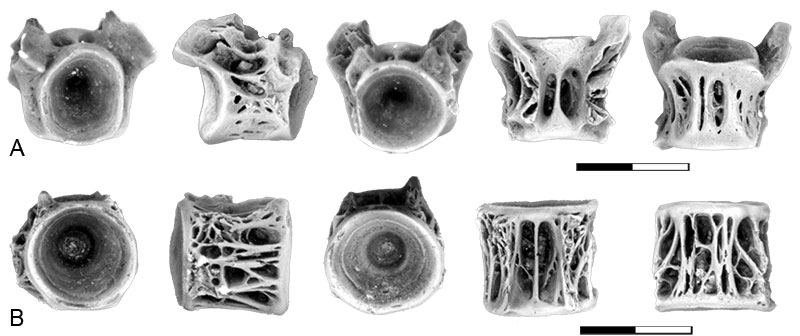 figure16