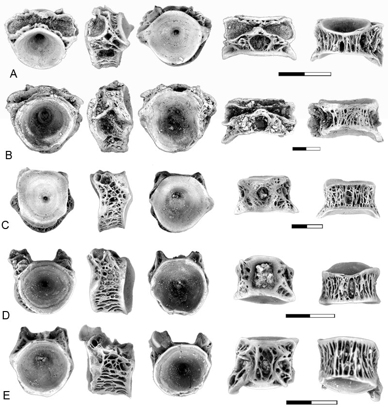 figure17