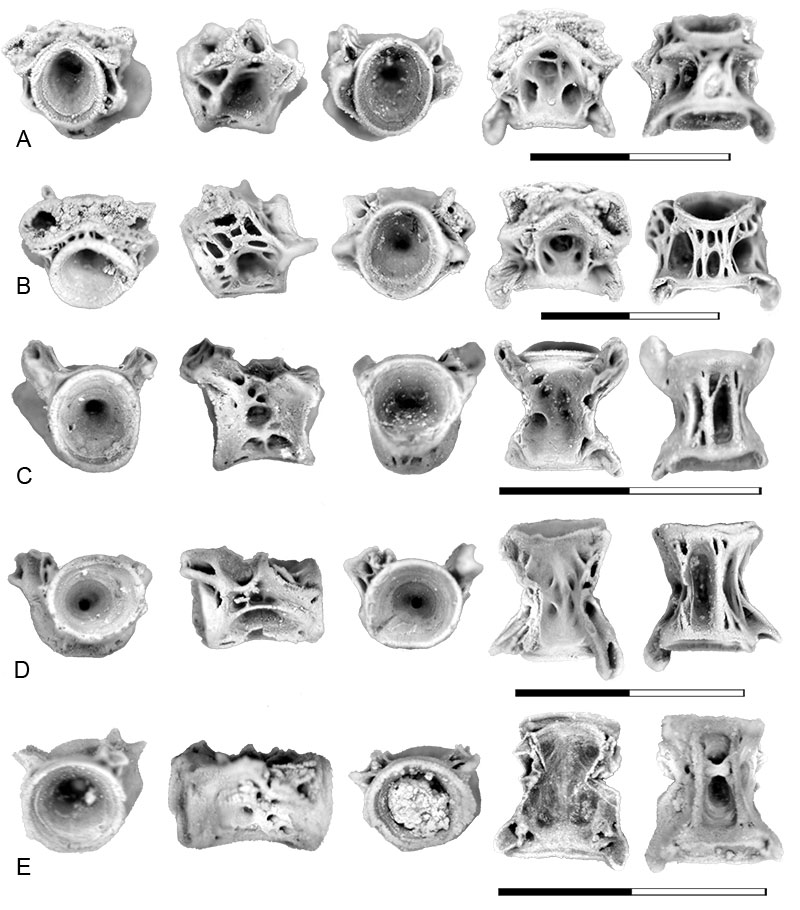 figure18