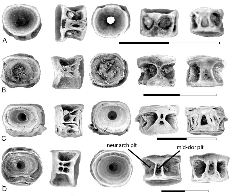 figure19