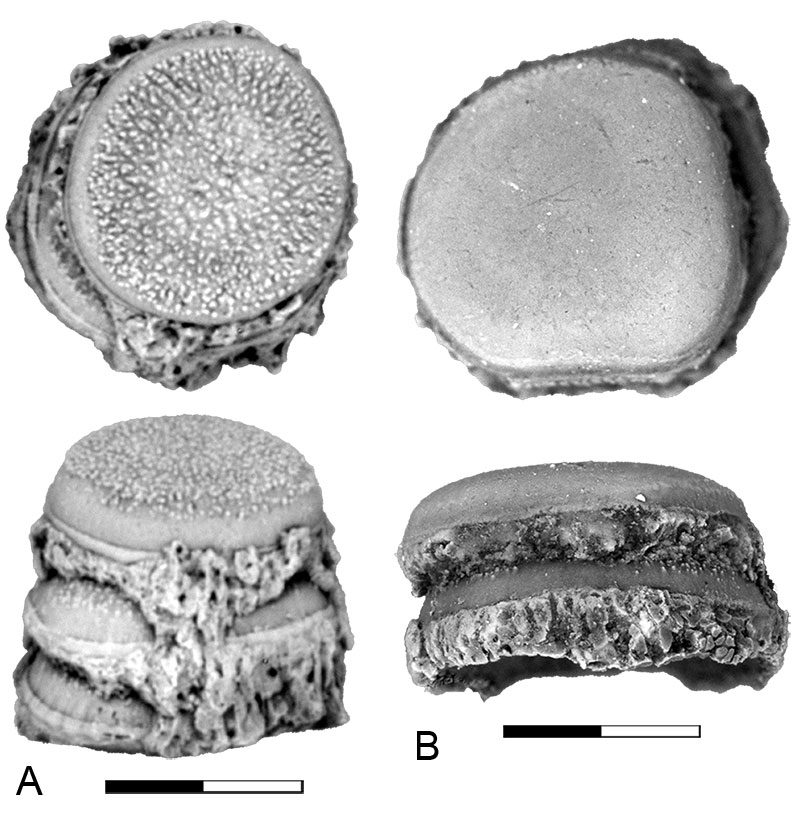 figure2