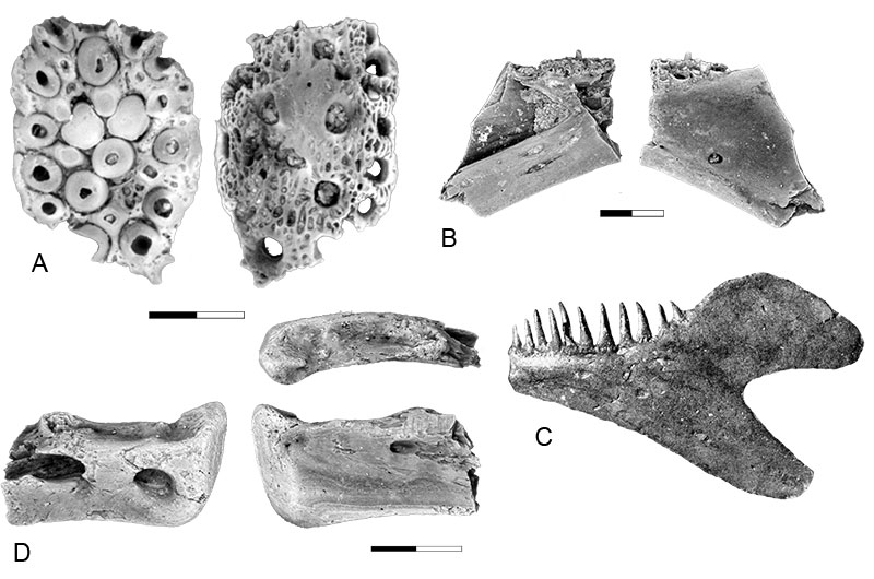 figure3