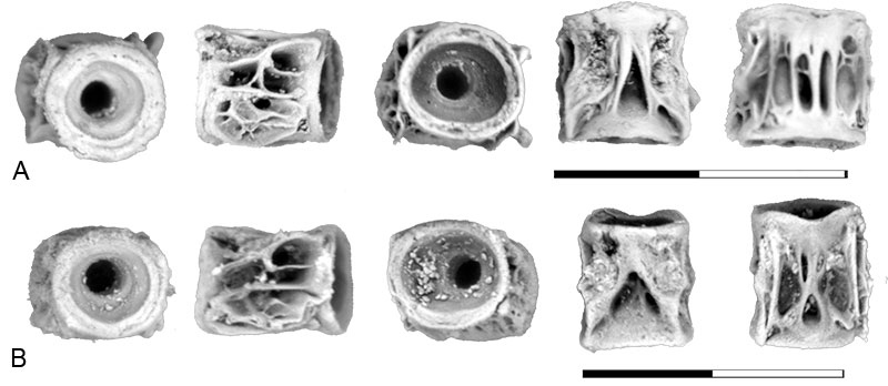 figure5