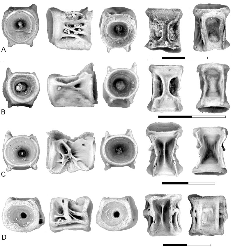 figure6