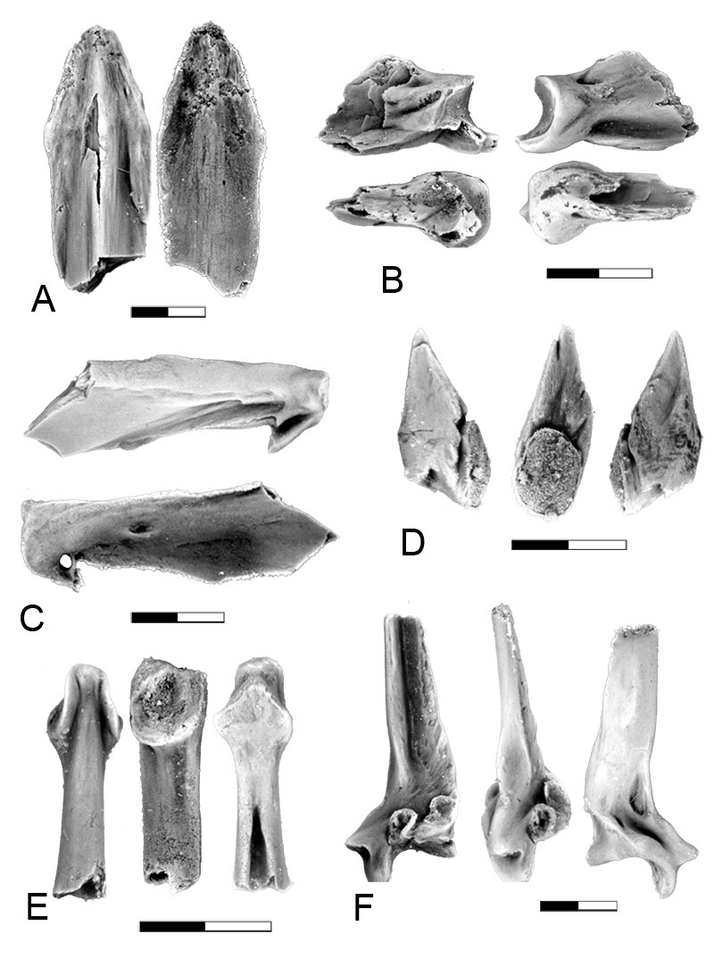 figure7