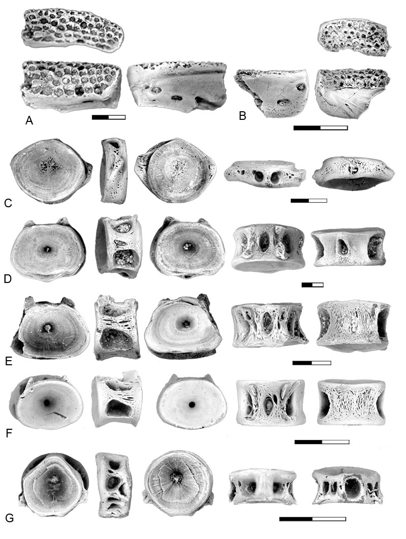figure9