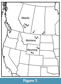 s figure1