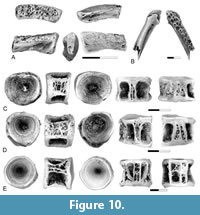 s figure10