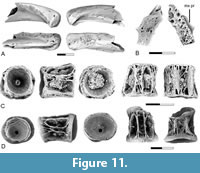s figure11