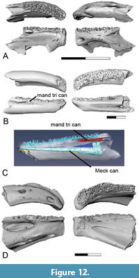 s figure12