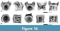 s figure16