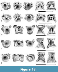 s figure18