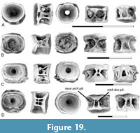 s figure19