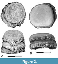 s figure2