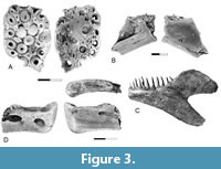 s figure3