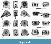 s figure4