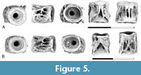 s figure5