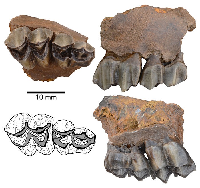 figure2