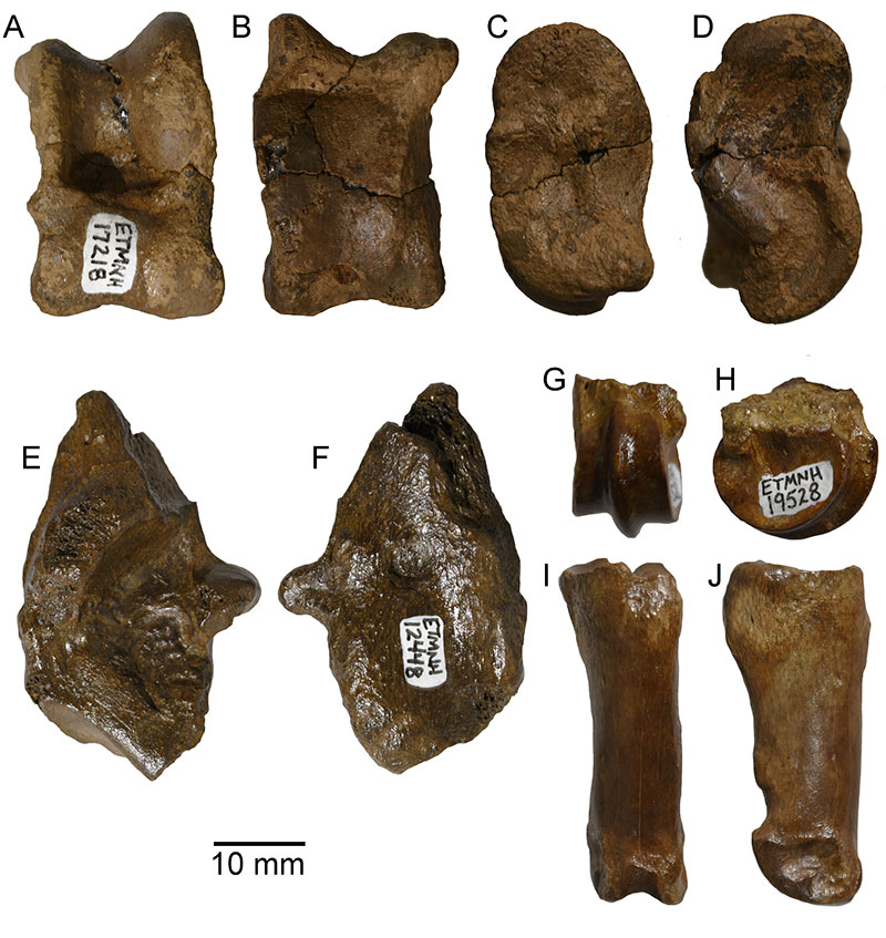 figure6
