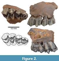 s figure2