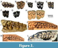 s figure3