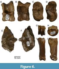 s figure6