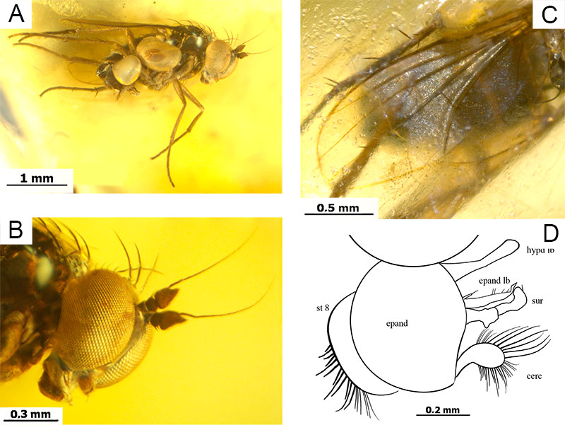 figure2