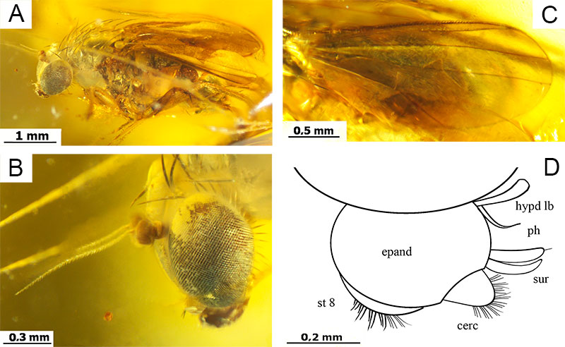 figure3