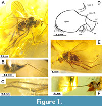 s figure1