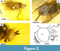 s figure2