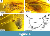 s figure3