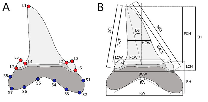 figure1