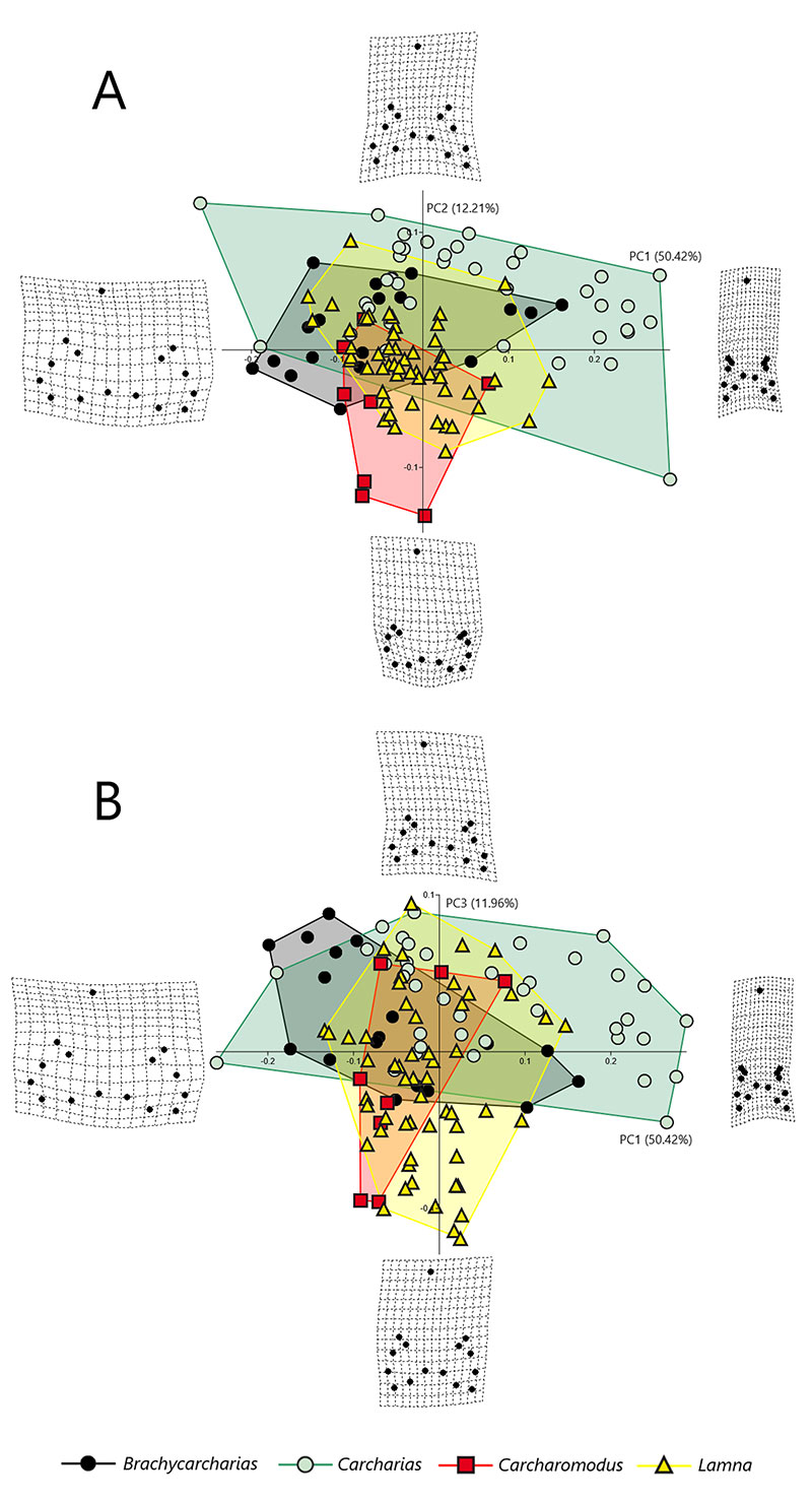 figure2
